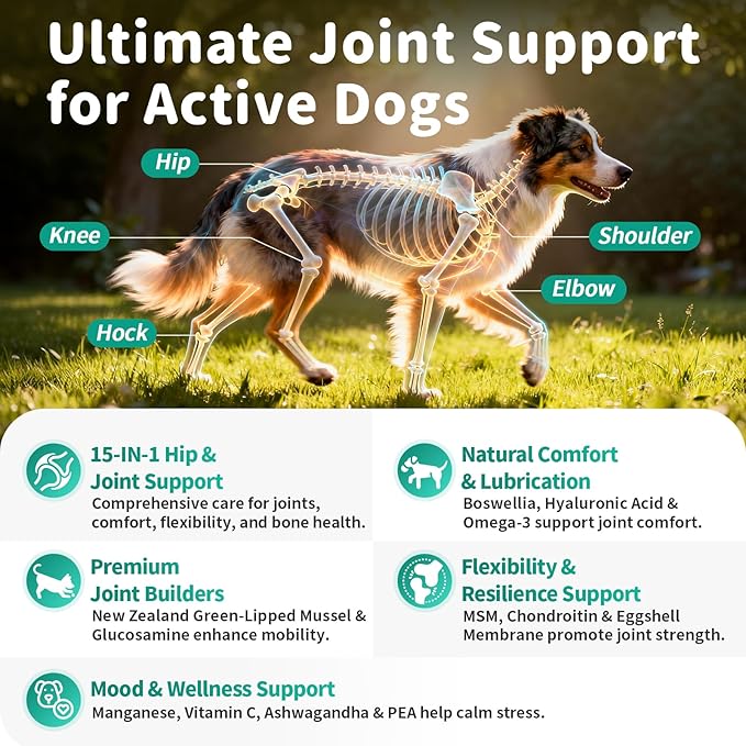 Advanced Dog Joint Supplement – 15-in-1 Glucosamine for Dogs with Chondroitin, MSM & Green Lipped Mussel – Hip & Joint Pain Relief Mobility Chews, Beef Flavor, 90Ct Breeds