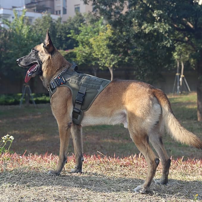 ICEFANG Tactical Dog Harness, X-Large Size,2X Metal Buckle,Working Dog MOLLE Vest with Handle,No Pulling Front Leash Clip,Hook and Loop Panel (Green,XL (Pack of 1))