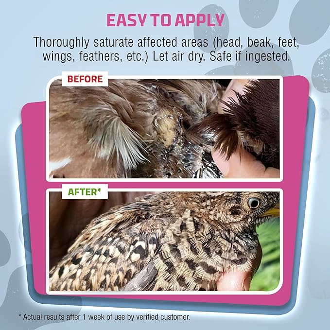 PetSilver Chicken Wound Spray for Chickens & Birds - Patented Silver Solution - Silver Spray for Wounds, Pecking Sores, Bumblefoot, Cuts, Burns, & Skin Irritations - Chicken Care - USA Made - 12 fl oz