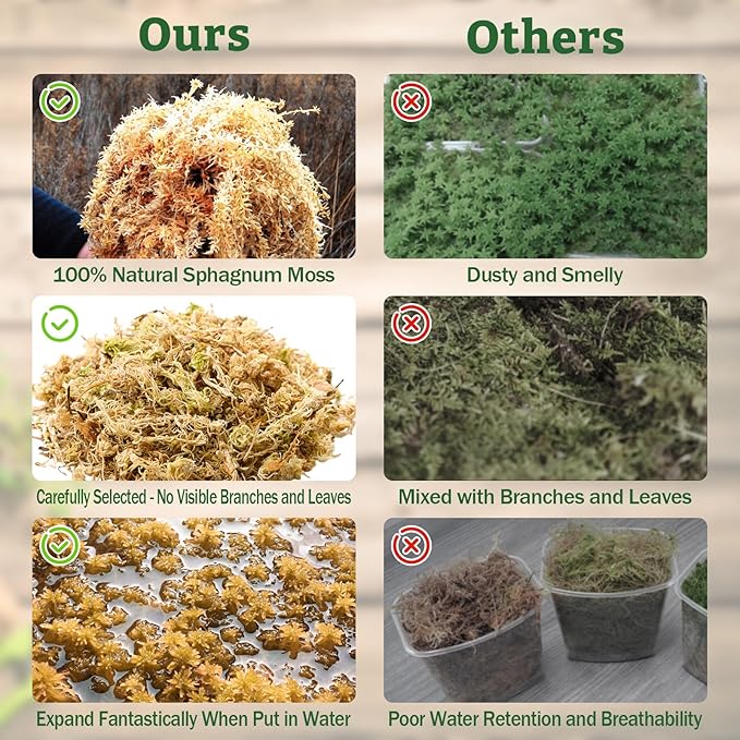Riare 5.3OZ Premium Sphagnum Moss for Reptiles- 6QT Natural Reptile Moss Dried, Forest Live Moss for Terrarium, Frogs Snake Peat Moss Bedding for Leopard Gecko Turtle Anoles Salamanders Orchids Plants