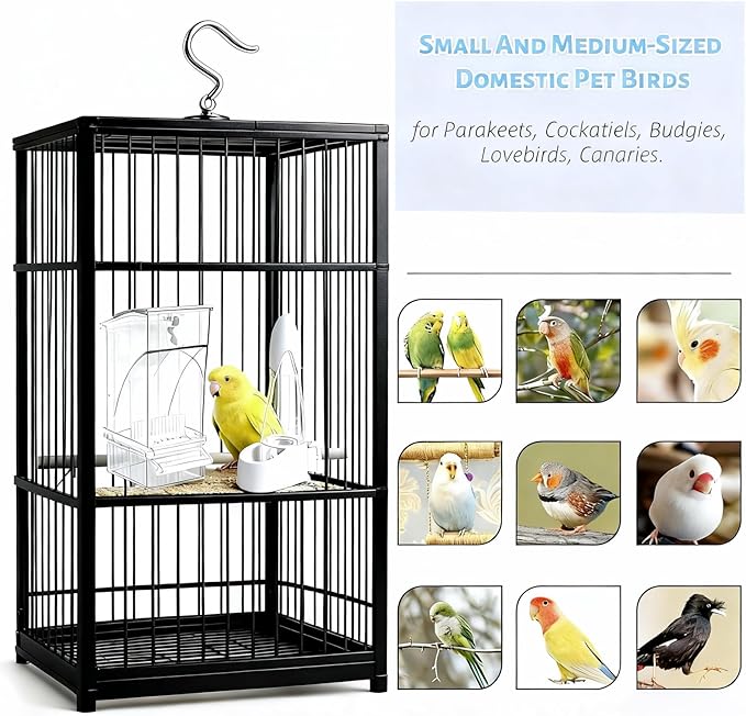 Automatic No Mess Bird Feeder and Water Dispenser Set, Acrylic Food Container and Drinker Bowl for Parrot Cage, Easy Clean Accessories for Parakeets Cockatiels Lovebirds and Other Small Pets