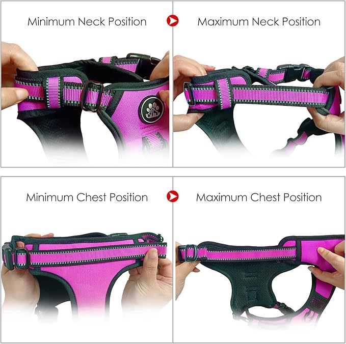 NESTROAD No Pull Dog Harness,Adjustable Oxford Dog Vest Harness with Leash,Reflective No-Choke Pet Harness with Easy Control Soft Handle for Small Medium Dogs(Medium,Fuchsia Pink)