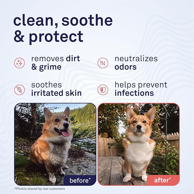 Petpost Large Grooming Wipes for Dogs | 70 Count Deodorizing Dog Cleaning Wipes with Coconut Extract & Aloe | Gentle Pet Wipes with Cherry Blossom Scent for Full-Body Grooming