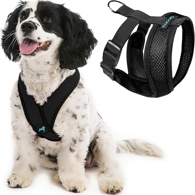 Gooby Comfort X Head in Harness - Black, Small - No Pull Dog Harness, Patented Choke-Free X Frame - Perfect on The Go Dog Harness for Medium Dogs No Pull or Small Dogs for Indoor and Outdoor Use