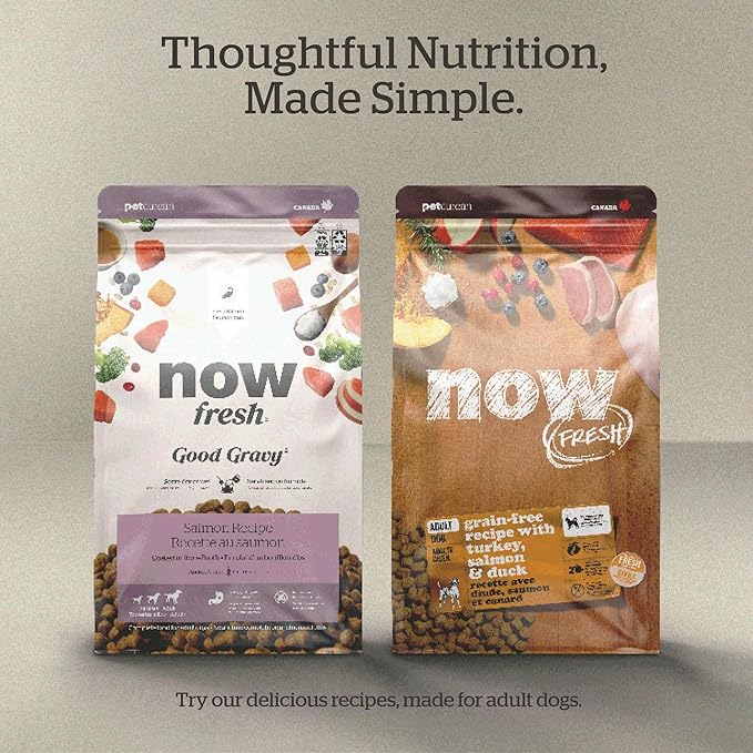 Now Fresh Good Gravy, Bone Broth Coated Kibble, Dry Dog Food, Chicken Adult Recipe with Grains, All Breed Size, 3.5 lb Bag