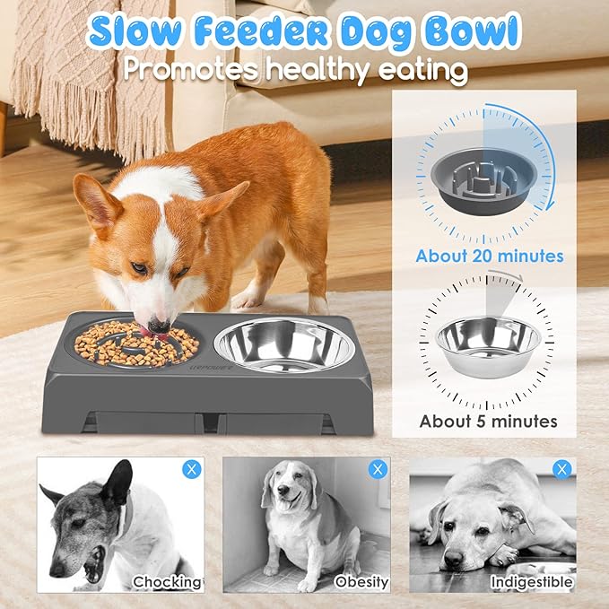 URPOWER Raised Slow Feeder Dog Bowls 4 Height Adjustable Elevated Bowl Stand with Stainless Steel Water Bowl and Slow Feeder Non-Slip Dog Food Bowls Stand for Small Medium Large Dogs and Pets