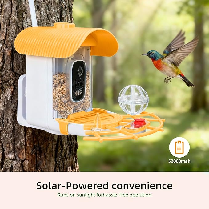 Bird Feeder with Camera, Smart Bird Cam with AI Identify BirdSpecies, Auto Record BirdVideo, Instant Notifications, 2K Video Live Stream Camera with Solar Panel for Birds Lover