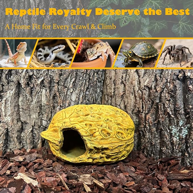 Leopard Gecko Reptile Hide Terrarium Décor Bearded Dragon Walnut Hideout Tank Accessories Decoration Cave Amphibian Habitat
