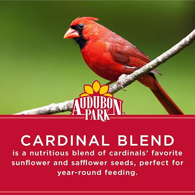 Audubon Park Cardinal Blend Wild Bird Food, Cardinal Bird Seed for Outside Feeders, 4-Pound Bag