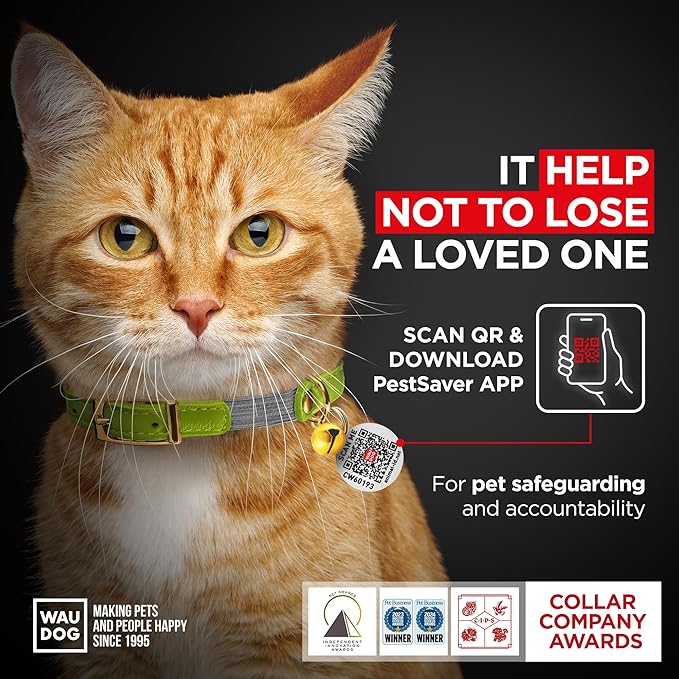 WAUDOG Ultra Soft Rolled Leather Cat Collar with Removable Bell, Safety Elastic Strap and QR ID Tag - Soft Padded for Small, Medium, and Large Cats - Round Kitten Collar for Male and Female Cats