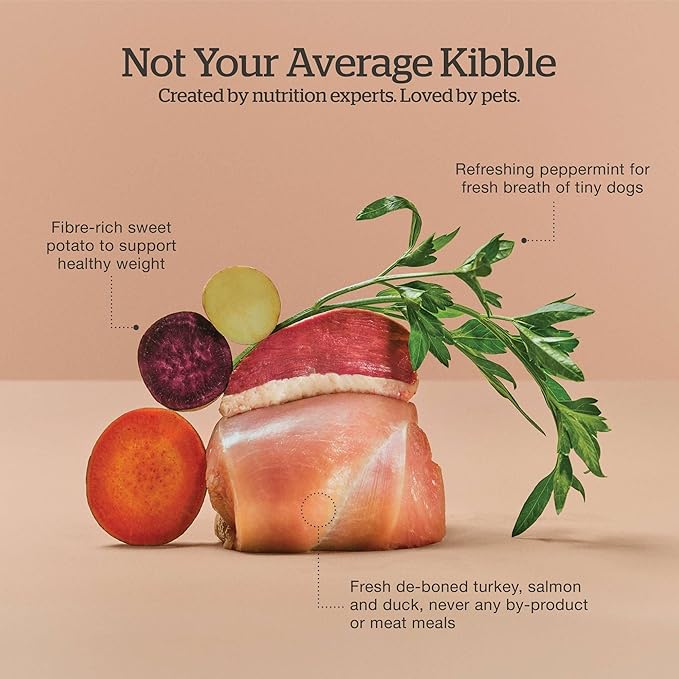 Now Fresh Grain-Free Small Breed Senior Dry Dog Food with Turkey, Salmon & Duck, Premium Kibble Made with Real Meat & Fish, Chicken-Free, Added Glucosamine & Chondroitin for Healthy Joints, 6 lb Bag