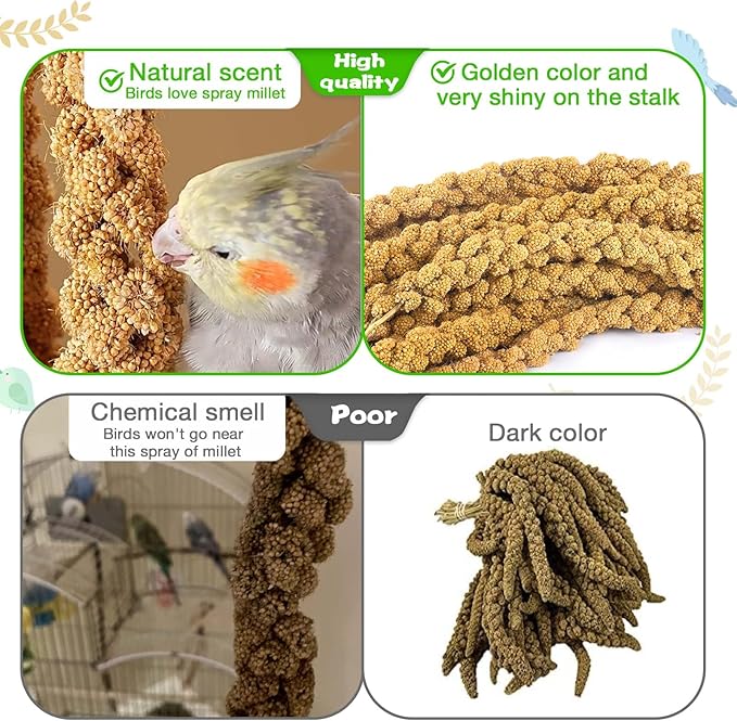Millet for Birds 1.2LB, Natural Sun-Dried Spray Seed No Stems Only Edible Tops for Parakeet, Budgies, Finches, Cockatiels, Parrots, Lovebird, Hamster and Other Pets Treat