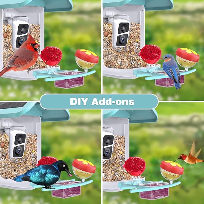 Bird Feeder with Camera: Solar Powered Smart Bird Camera Feeder 2K Live Feed for Backyard - AI Identify Auto Capture Videos, Gifts for Birdlovers Mom Dad, 2.4GHz WiFi