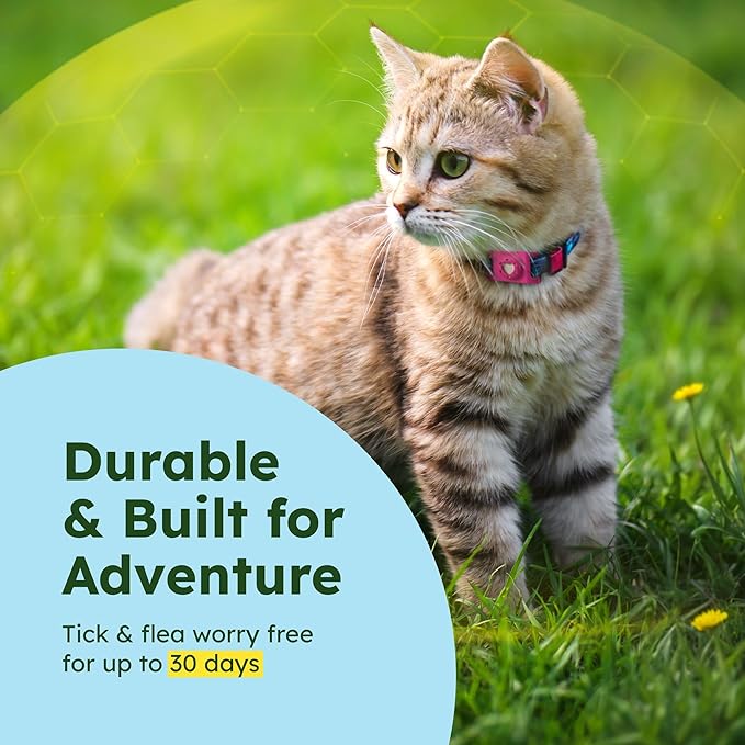 BugMD Paw Guardian Flea & Tick Pendant (3-Pack) with AirTag Holder – Plant-Based Flea & Tick Prevention for Dogs – Pet Collar Tag & GPS Tracker Holder for Dogs – Pink