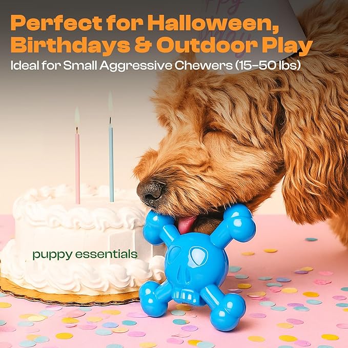 Dog Chew Toys for Aggressive Chewers – Indestructible Nylon Bone for Puppy Teething,Tough Chew Toy for Small Dogs, Bacon Flavor and Outdoor Fun, Skull Design