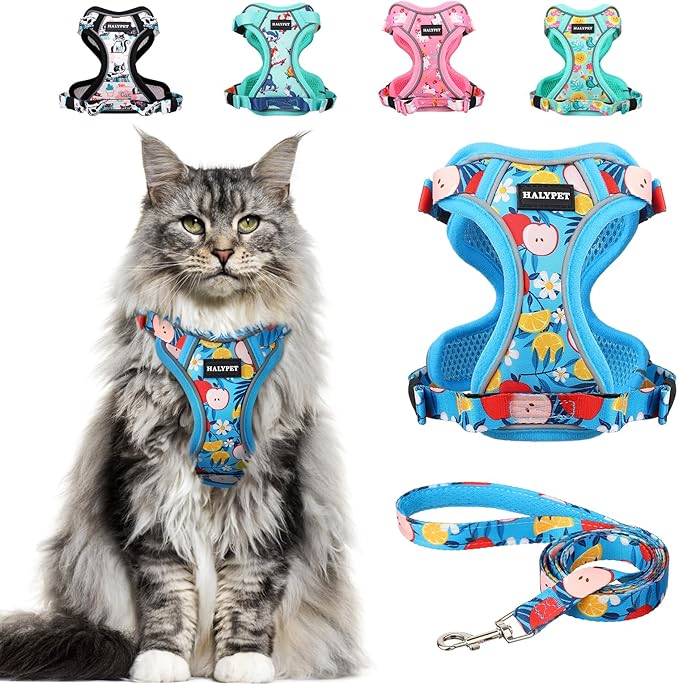 Halypet Cat Harness and Leash Set[MAX Safety 4th-Gen] Cute Escape Proof Vest Harness for Girl&Boy Cat Walking, Comfortable Adjustable Leash and Reflective Strips for Outdoor Kitten, M Azure Floral