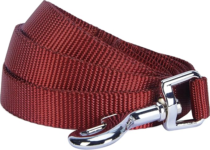 Blueberry Pet Essentials Fired Brick Dog Leash for Large - 4' * 1" Dogs | Heavy Duty Nylon Lead | Lightweight Puppy & Cat Leash for Walking & Training