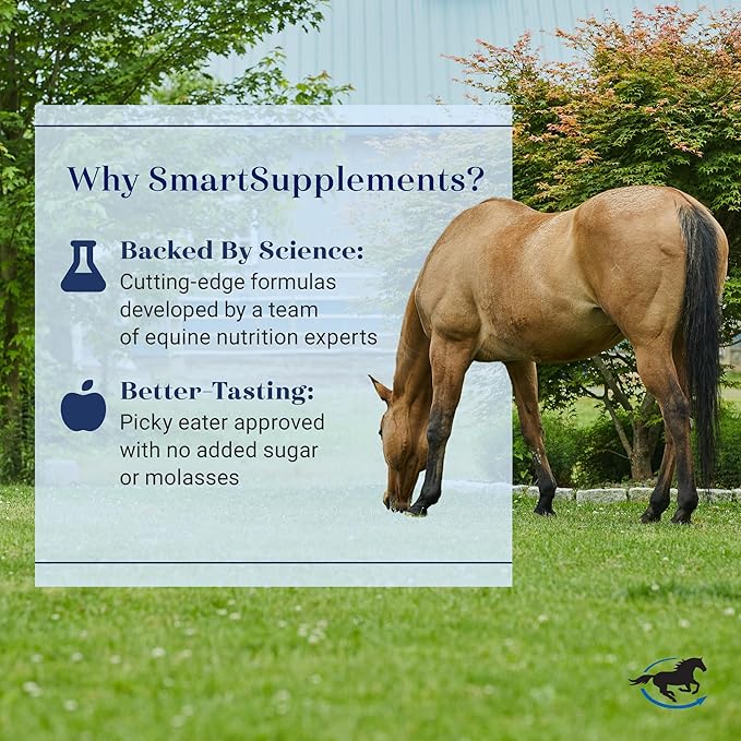 SmartCombo Senior Pellets | Joint, Hoof, Skin, and Coat Supplement For Senior Horses | Contains Glucosamine, Hyaluronic Acid, MSM, Devil's Claw, Biotin, and More | 28 Servings | 6.2 lb Bag