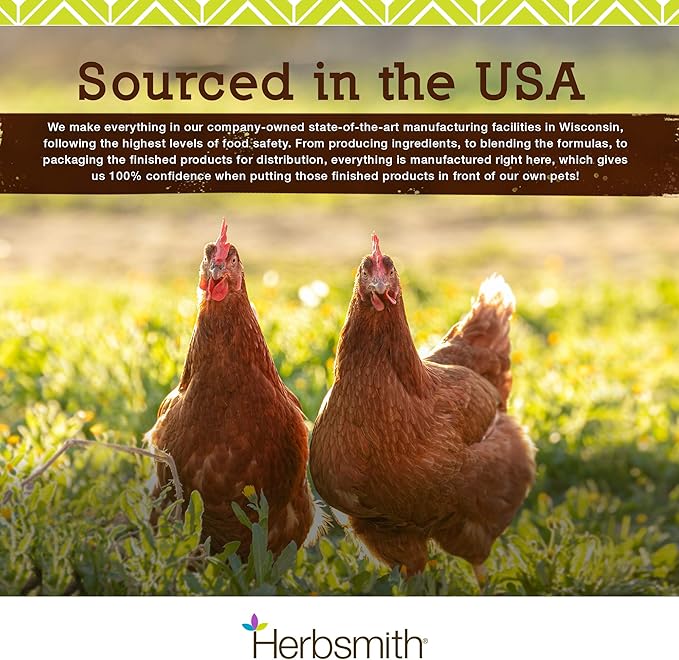 Herbsmith Kibble Seasoning – Freeze Dried Salmon – Dog Food Topper for Picky Eaters - 6.2 oz