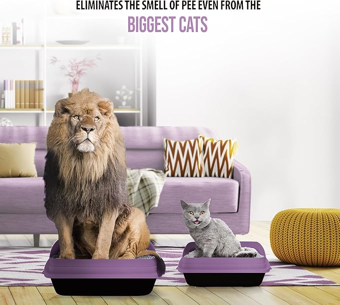 Skoon All Natural Cat Litter (1 Bag) - Lavender - Lightweight, Low Tracking, Non-Clumping Diatom Pebbles Absorb, Lock, and Seal Waste for Best Odor Control