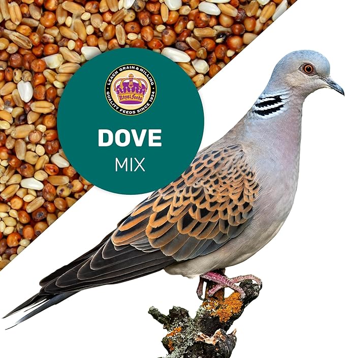 Dove Mix 25 Lbs, Dove Food, Premium Dove Bird Seed, Nut Free Mix Feed for Dove, Nutrient-Rich Mixed Birdseeds, Supports Daily Energy Growth & Healthy Balanced Diet, Bird Seed for Outside Feeders