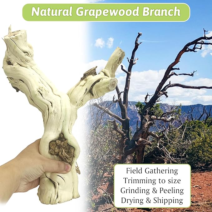 VCEPJH 4 Pcs Reptile Plants, Climbing Wood Branch Terrarium Hanging Fake Plant Leaves Bearded Dragon Tank Accessories, Habitat Decor for Snake Leopard Gecko Lizard Chameleon (Style 3)