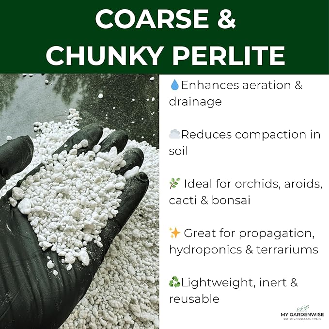 Perlite for Plants, Coarse and Chunky Horticultural Perlite, Organic Perlite for Gardening Indoor & Outdoor, Perlite Bulk Bag, Made in USA (3 quarts)