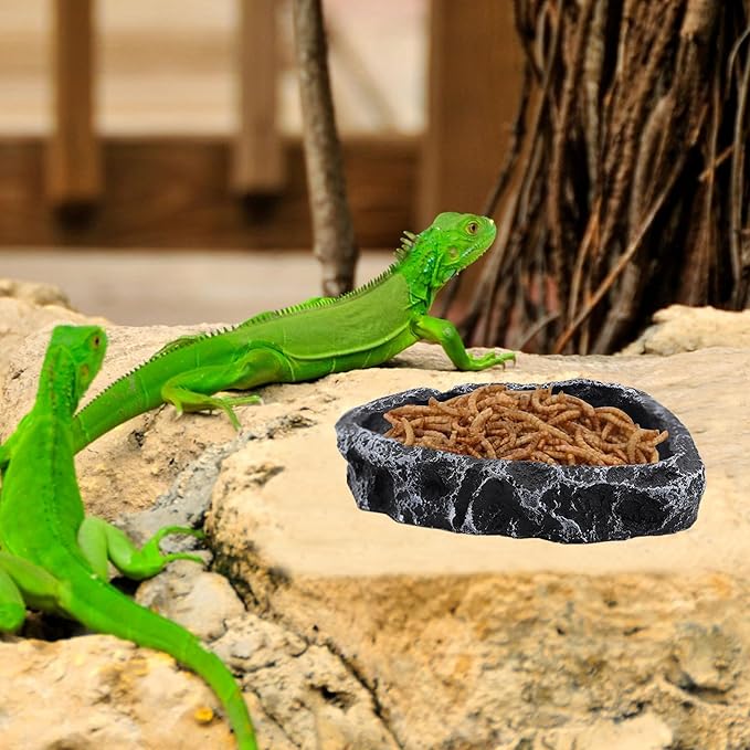 3 Pack Reptile Water Dish, Samll Snake Water Bowl, Leopard Crested Gecko Tank Accessories, Bearded Dragon Food Dish, Feeding Dish Kit for Tortoise, Lizard, Frog, Hermit Crab (3 Pack)