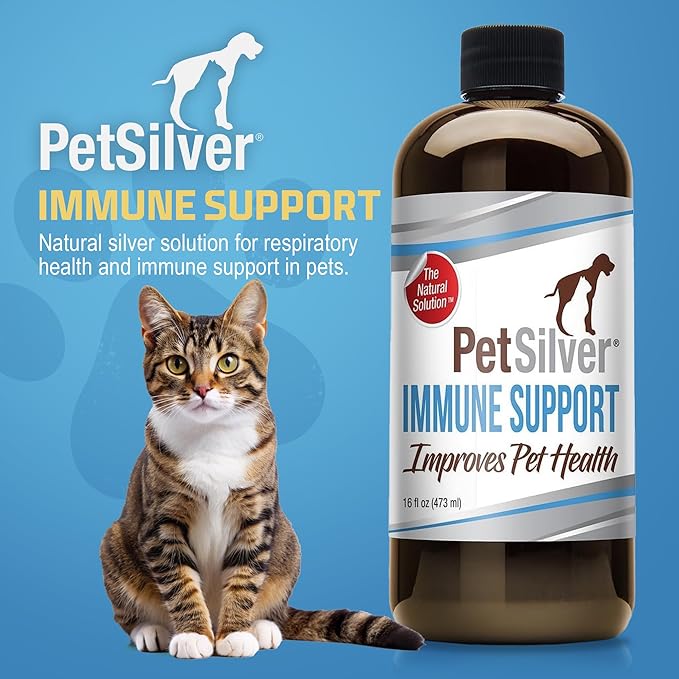 PetSilver Immune Support, Natural Nebulizer Solution, Promotes Respiratory Health in Cats & Dogs, Allergies, Sinus & Cough Treatment, Easy to Use, Patented Chelated Silver, Made in The USA, 16 fl oz