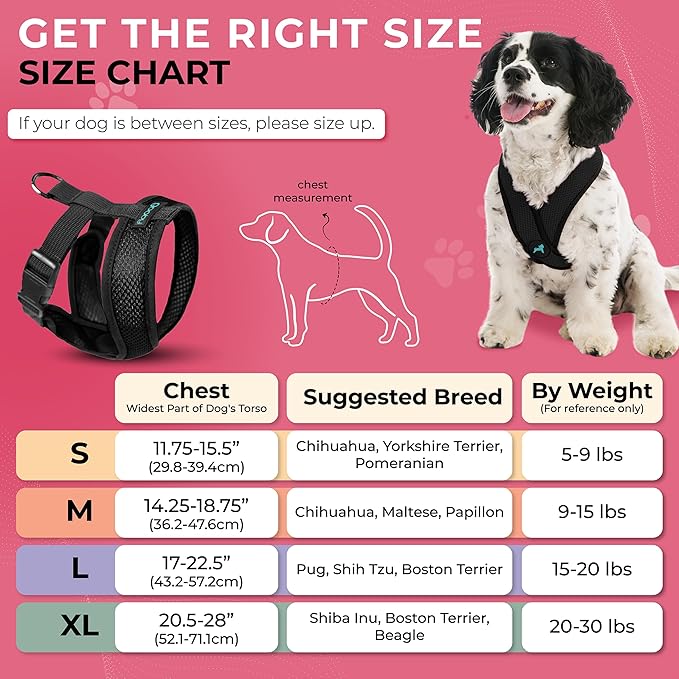 Gooby Comfort X Head in Harness - Black, Small - No Pull Dog Harness, Patented Choke-Free X Frame - Perfect on The Go Dog Harness for Medium Dogs No Pull or Small Dogs for Indoor and Outdoor Use