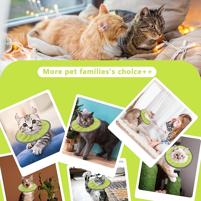 Lightweight Cat Cone Collar Soft, Soft Comfortable Cat Recovery Collar After Surgery, Elizabethan E Collar for Cats, Cone for Cats to Stop Licking (Water Green, Medium)