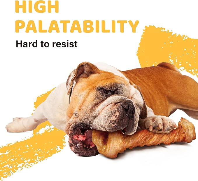 iPaw Turkey Tendons for Dogs, 100% Turkey and US Sourced Raw Material, Hypoallergenic, All Natural Human Grade Puppy Chew, Rawhide Alternative Dog Treats, 10 Unit/Box Bone (Large)