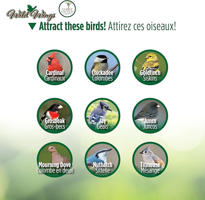 Wild Wings Cedar Tray Bird Feeder | Universal Seed | For Cardinals & Jays | Rust-Free Hardware | Pack of 4