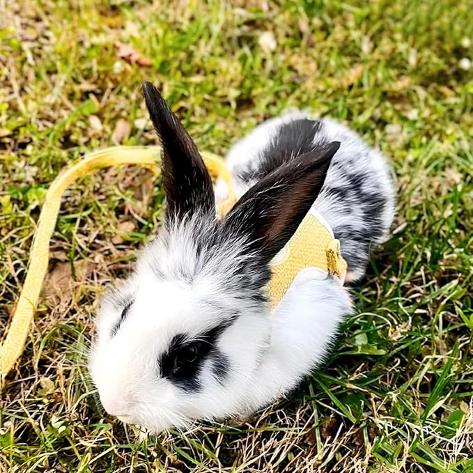 2-Pack Rabbit Harness and Leash Set – Adjustable Small Animal Vest Harness with Safety Buckle – Breathable & Lightweight – Ideal for Rabbits, Ferrets, Guinea Pigs, and Cats (Yellow)