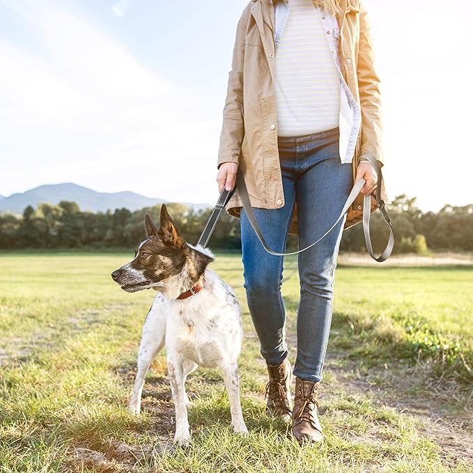 TwoEar 6FT 1IN Strong Gray Dog Leash with 2 Padded Handles, Traffic Handle Extra Control, Comfortable Soft Dual Handle, Auto Lock Hook, Reflective Walking Lead for Small Medium and Large Dogs