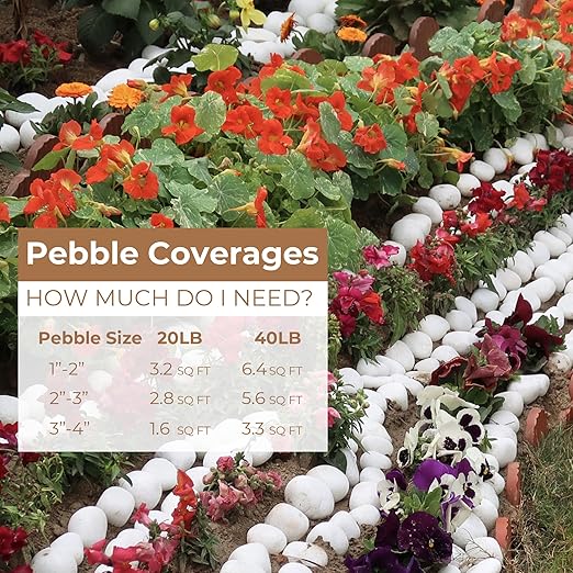 White River Rocks 40lbs, 1-2 Inch Natural Pebbles for Plants, Hand-Picked Premium Stones for Landscaping and Garden Design, Fish Tank, Flower Pots, Pathways and Backyard