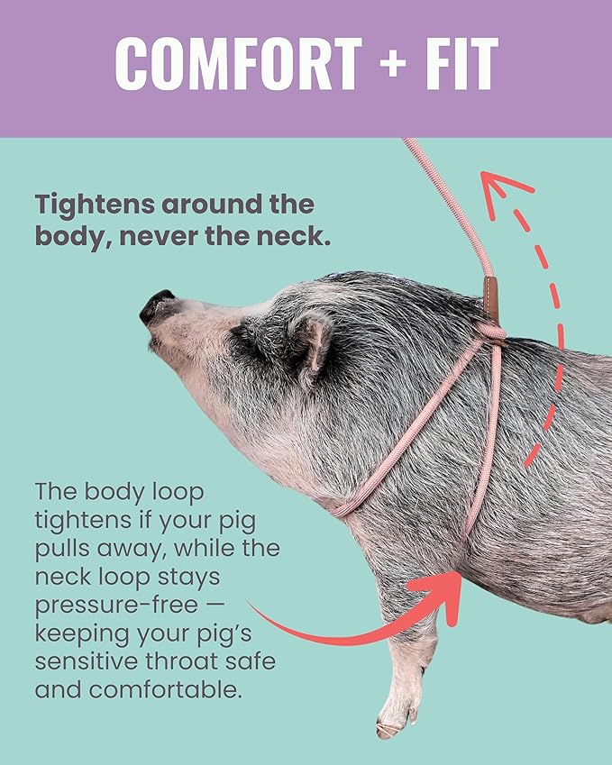 PORCINE® Mini Pig Harness & Leash – Fully Adjustable Step-in Harness with Infinity-Style Lead - Ideal for Small & Medium Potbelly Pigs – Durable, Comfortable, Easy-On Easy-Off (Small Mauve Pink)