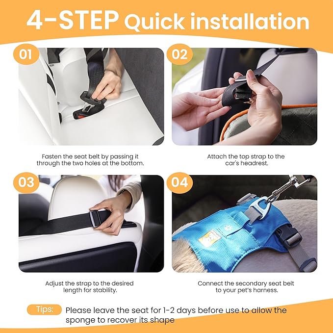 Dog Car Seat for Medium Dog, Booster Seat for Dogs Under 55lb, Elevated Pet Seat with Pocket, Anti-Slip Bed for Car, Perfect for Back Seat & Trunk with 2 Safety Leashes (Black/Grey, Large)