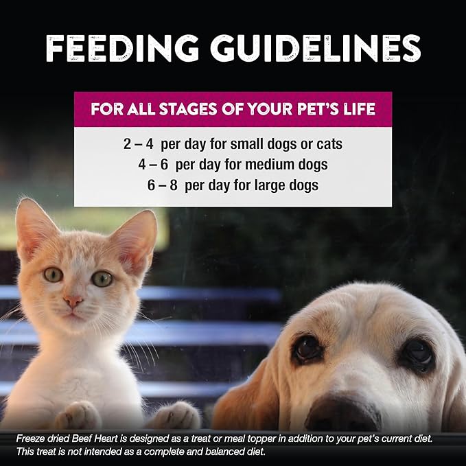 Northwest Naturals Raw Rewards Freeze-Dried Beef Heart Treats for Dogs and Cats - Bite-Sized Pieces - Healthy, 1 Ingredient, Human Grade Ingredient, All Natural, Proudly Made in USA, 10 Oz (Pack of 3)