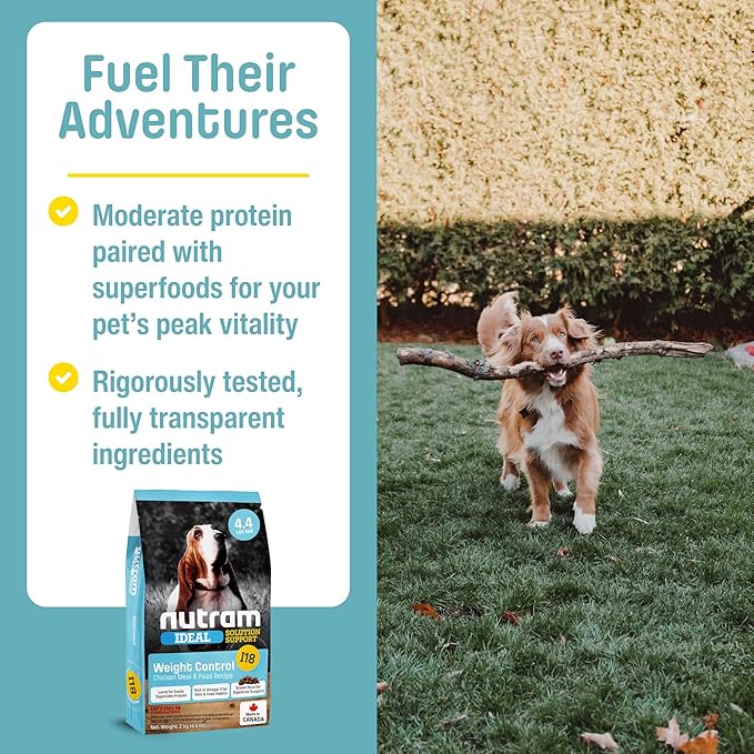 I18 Healthy Weight Management Dry Dog Food | High Protein, Low Fat Chicken Meal & Peas Kibble | Muscle Builder Formula for All Breeds (4.4 Pounds)