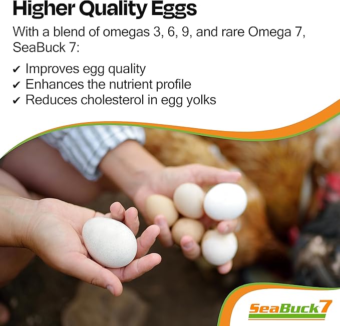 Chicken & Bird Supplement with Sea Buckthorn to Improve Egg Quality & Increase Egg Production (1-Month Supply for 20 Chickens)