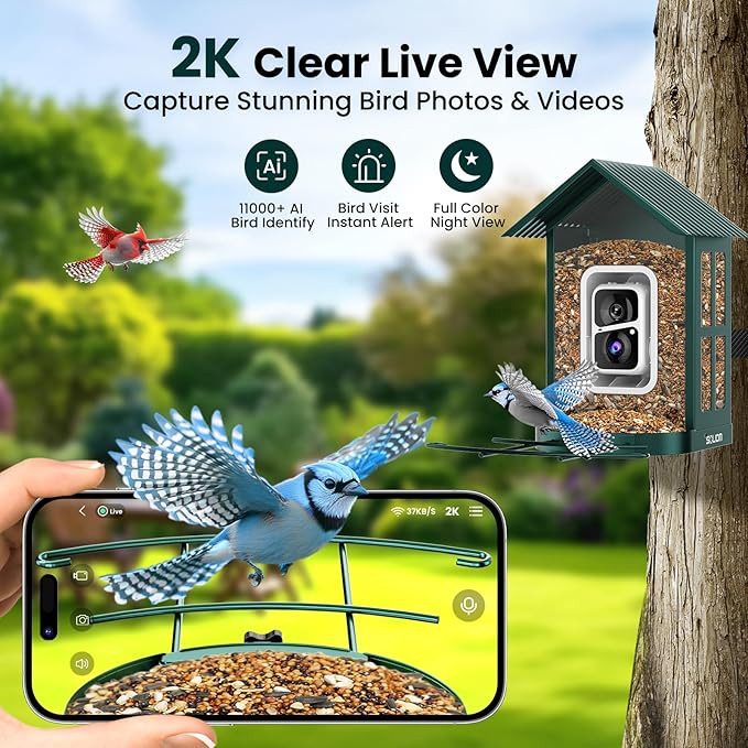 SOLIOM Solar Bird Feeder with Camera for Outdoors - Durable Metal AI Smart Birdhouse, 2K Live View & Instant Alerts, Squirrel Proof - Ideal Bird Watching Gift (Green)