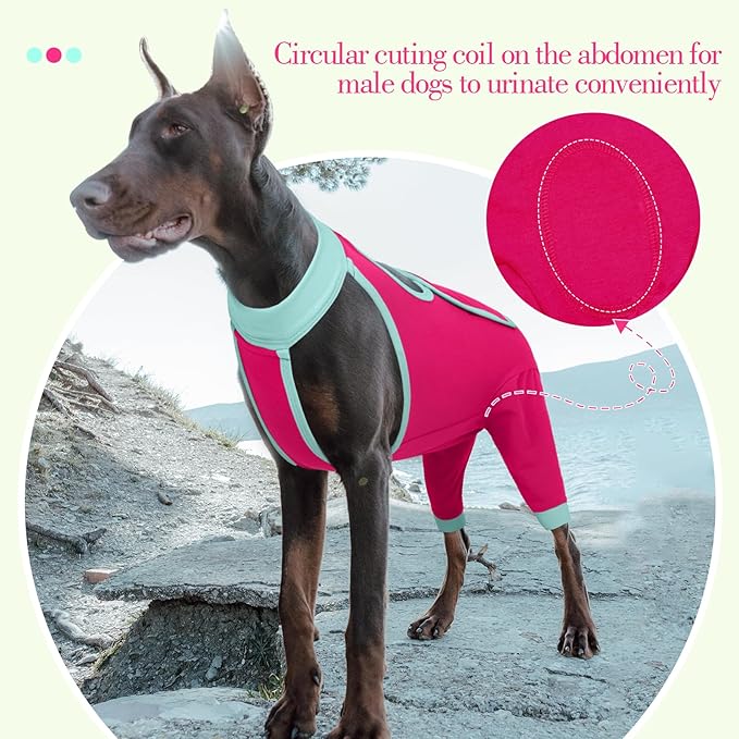 ROZKITCH Dog Surgery Leg Sleeve Rear Legs, Male Female Pet Prevent Licking Wound Elbow Knee Protector, Dog Recovery Suit Cone Collar Alternative Pants Shirt for Wound Heal Wrap Rosered L
