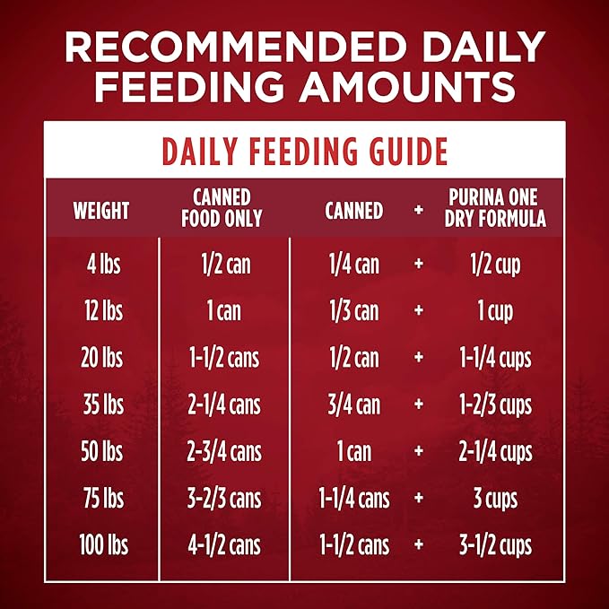 Purina ONE High Protein Wet Dog Food True Instinct Tender Cuts in Dog Food Gravy With Real Chicken and Duck - (Pack of 12) 13 oz. Cans