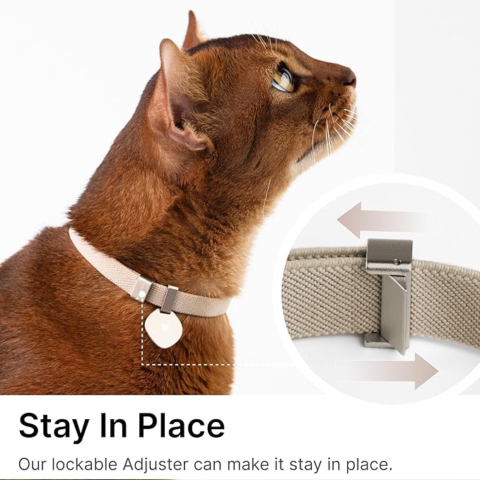 Safety Cat Collar Pro and Tag Set - U.S. IDA Gold Award, Elastic Release Cat Collar Charm Tag, Non Breakaway Cat Collar Adjustable with Charm for Kitten Small Large Cats (Olive, S)