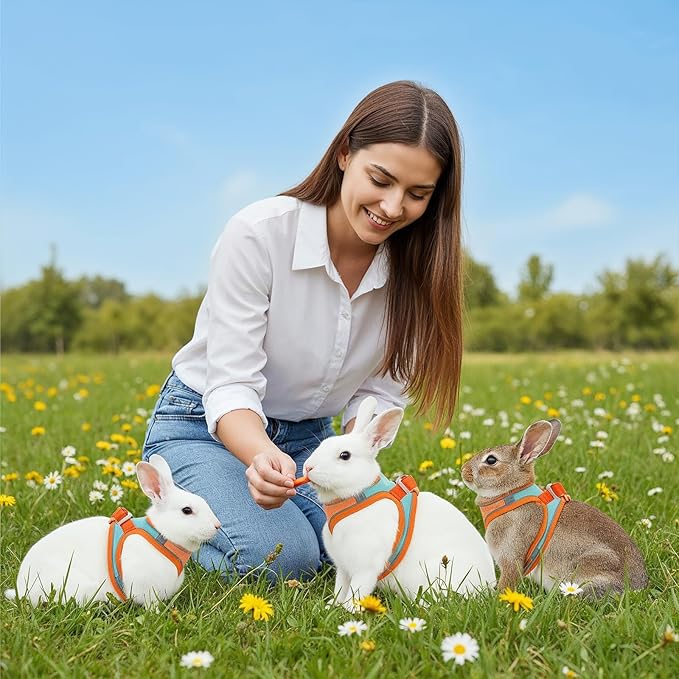 Bunny Harness and Leash Set, Adjustable Double Buckles Breathable Mesh Rabbit Vest with Reflective Strips, Escape Proof Small Pet Walking Training Gear for Rabbits, Kittens, Ferrets, Guinea Pigs (M)