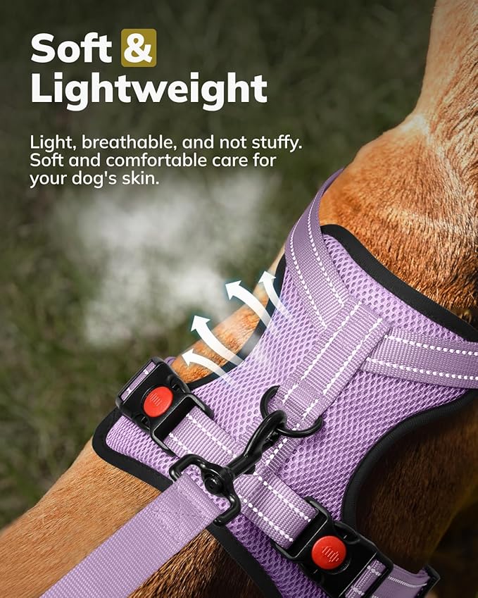 MIDOG No-Pull Dog Harness | Adjustable & Reflective Pet Harness Leash Set for Small Medium Large Dogs Walking, Training| No Choke, Front Clip, Soft Padded Vest with Easy Control Handle - Purple, XS