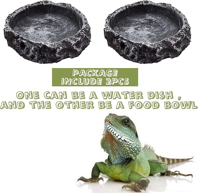 RONYOUNG 2PCS Reptile Water Bowls Reptile Feeder Food Dish with Tongs for Tortoise Lizard Bearded Dragon Frog Leopard Gecko Snake Chameleon