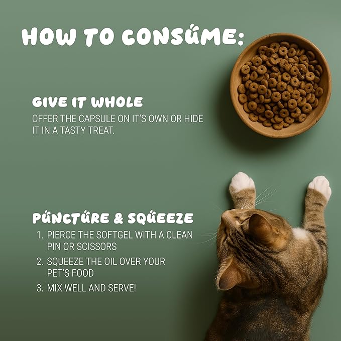 Peppy Pup Omega-3 KD Oil Capsules for Pets, Omega 3 for Dogs and Cats, Fish Oil for Dogs and Cats, Pet Vitamins and Supplements, Pet Fish Oil, Supports Healthy Heart, Dog Coat Defense, 60 Day Supply