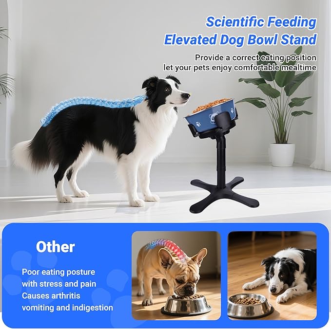 Dog Bowls,Elevated Adjustable Dog Bowl Stand with 3 Heights & Tilted Feeding Design, Raised Stand Compatible with Medium & Large Breeds(Without Bowl 1 Pack)